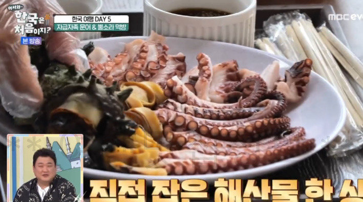 어서와 자급자족 문어 & 뿔소라 먹방 어디? 한국은 처음이지 한국여행 DAY 5 1 ywAAAAAAQABAAACAUwAOw==