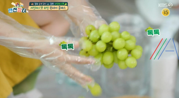 랜선장터 샤인머스캣 와인 만들기 원데이 클래스, 샤인머스켓 와인 만드는 법 레시피 3 ywAAAAAAQABAAACAUwAOw==