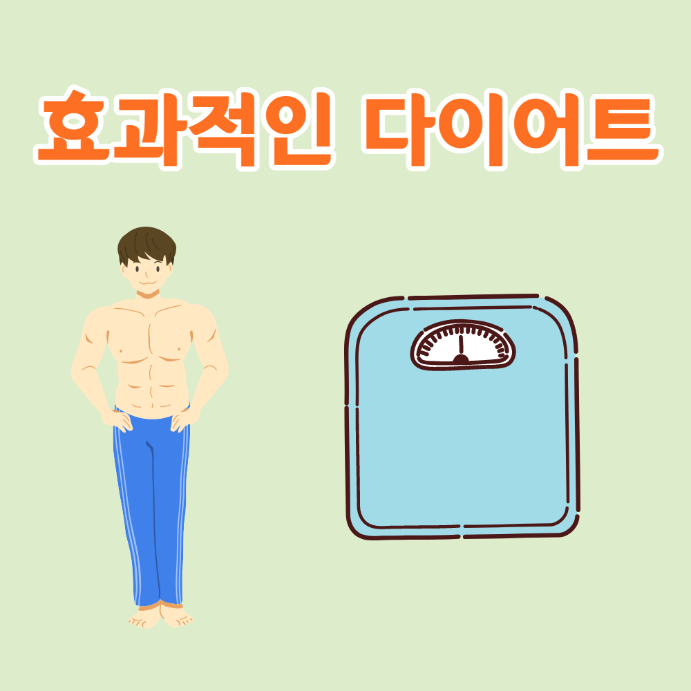 요요현상 효과적인 다이어트