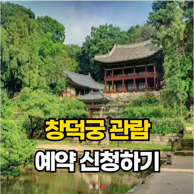 아로스 팝업