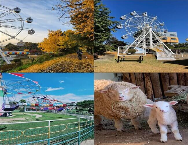 춘천 가볼만한곳 육림랜드