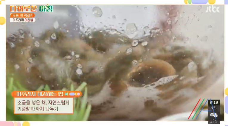 다채로운아침 추어탕 레시피 끓이는법 - 오늘 뭐 먹지 2 ywAAAAAAQABAAACAUwAOw==