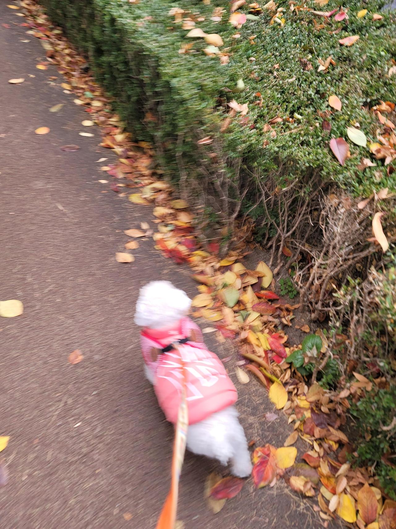 ?scode=mtistory2&fname=https%3A%2F%2Fblo