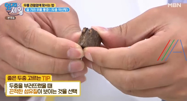 엄지의제왕 두충 약선탕 만드는 법 만들기 - 무릎 통증 완화 돕는 두충 3 ywAAAAAAQABAAACAUwAOw==