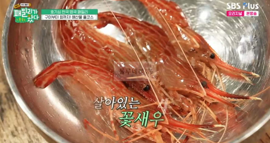 패밀리가 왔다 해산물 풀코스 횟집 어디? 호기심 천국 영국 패밀리 구이부터 회까지 산오징어회 비단멍게 꽃새우 광어회 4 ywAAAAAAQABAAACAUwAOw==