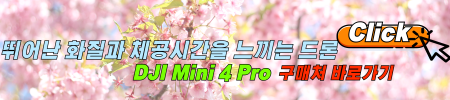 연습용드론 DJI Mini 4 Pro 후기 및 최저가 링크 알아보기