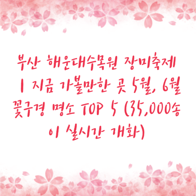 아로스 팝업