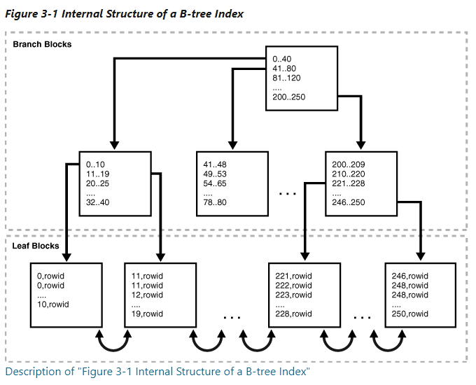 [Database] Oracle Database Index (19c 기준)