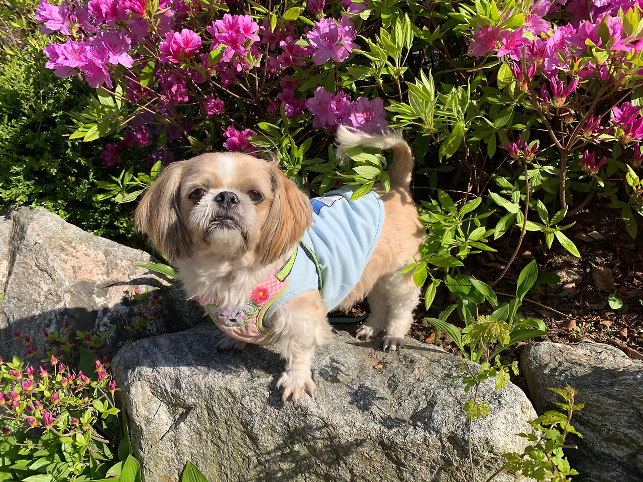 세종 가족 자전거 대여