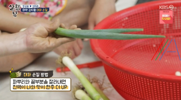 살림남 마약 김치 양념장, 총각무 김치 & 대파 김치 담그기 만들기 만드는 법 레시피, 정성윤 임성근 김장 김치 담그는법 만들기 레시피 - 2시간 김장김치 + 비법 양념장 4 ywAAAAAAQABAAACAUwAOw==