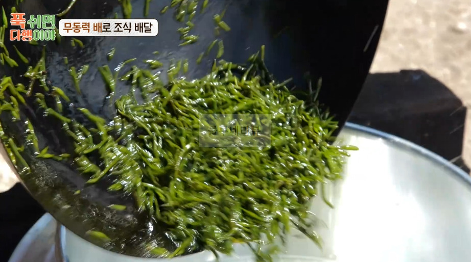 푹쉬면다행이야 톳 된장국 만들기 레시피 - 정호영 셰프 무동력 배로 조식 배달 6 ywAAAAAAQABAAACAUwAOw==