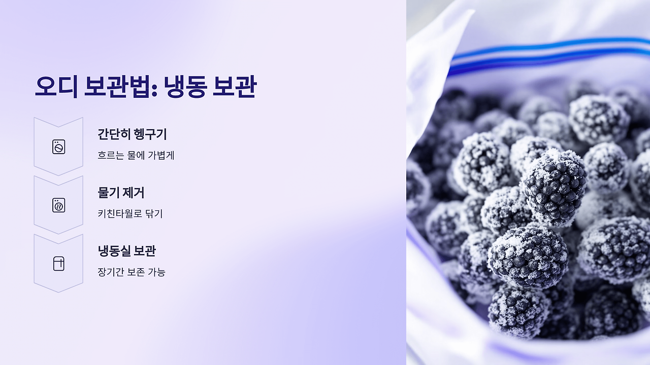 오디 효능 부작용 총정리