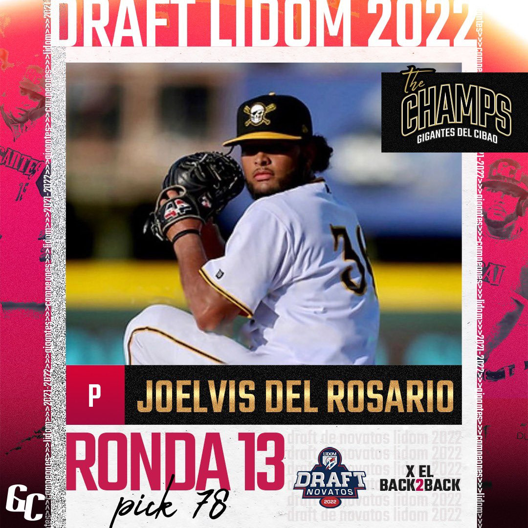 요엘비스 델 로사리오 (Joelvis Del Rosario)의 2023년 스카우팅 리포트
