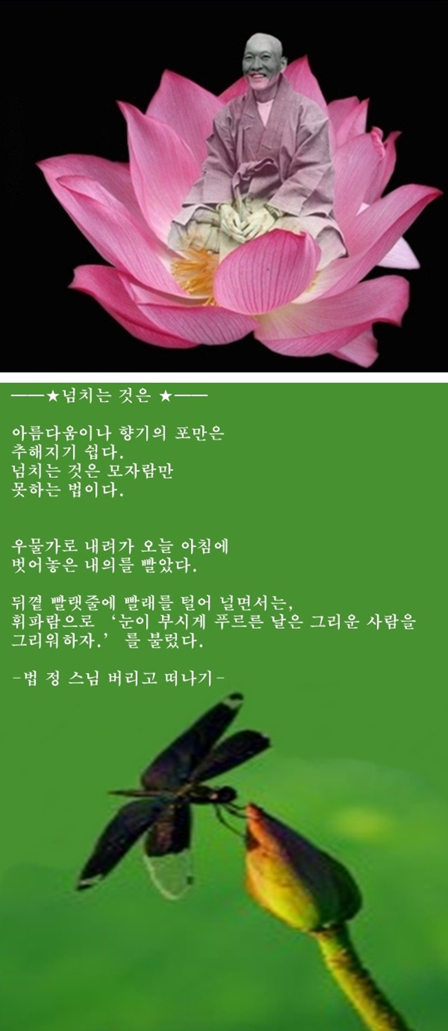 넘치는 것은