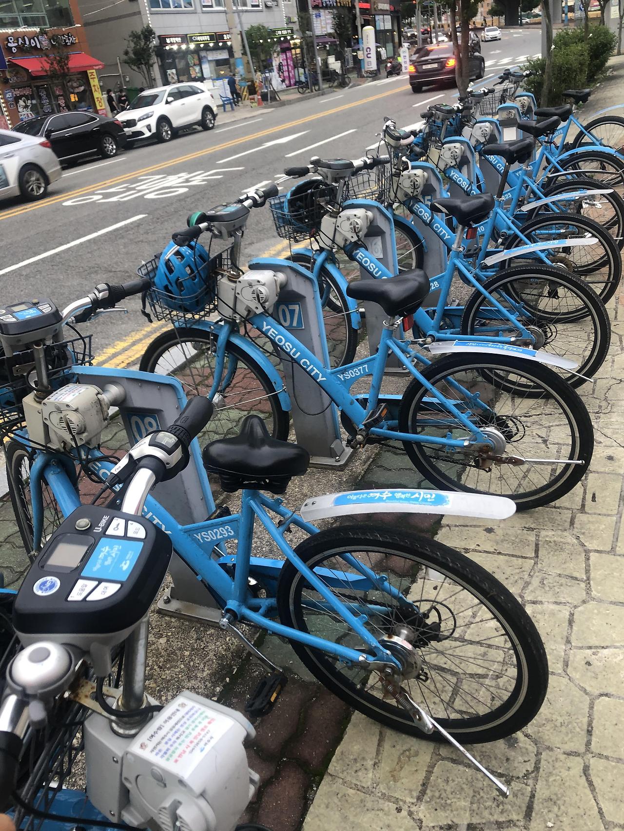 오동도 자전거