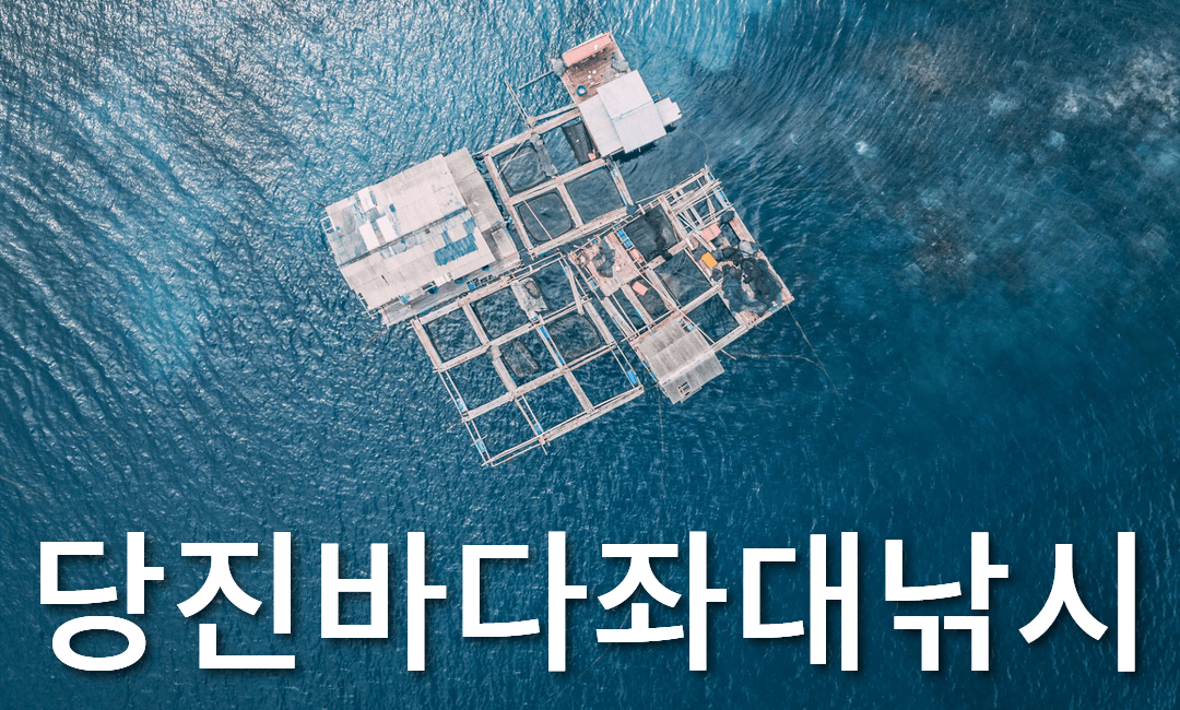 아로스 팝업