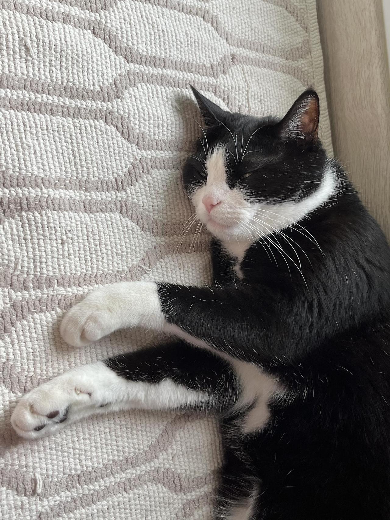 ?scode=mtistory2&fname=https%3A%2F%2Fblo