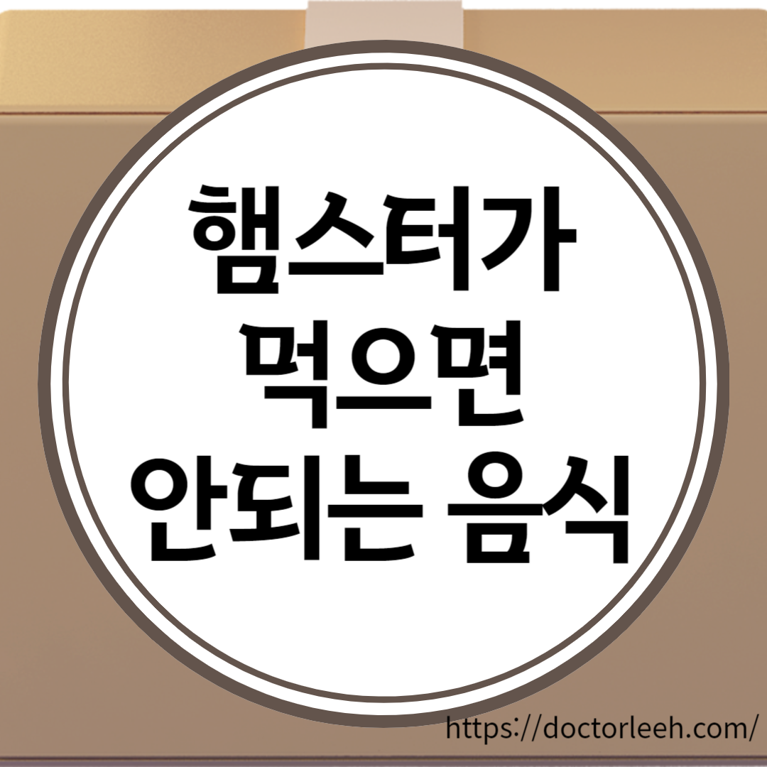 햄스터가 먹으면 안되는 음식 4가지 정리, 최악의 경우 사망 및 경련까지