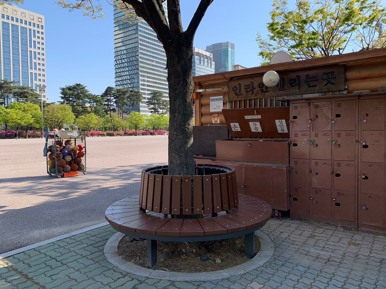 세종 가족 자전거 대여