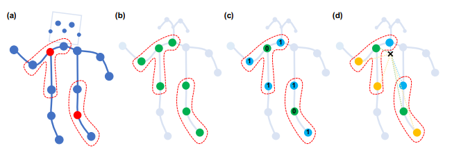 skeleton grouping type