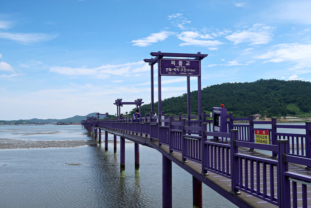 비금도 자전거 대여