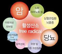 수란 이미지