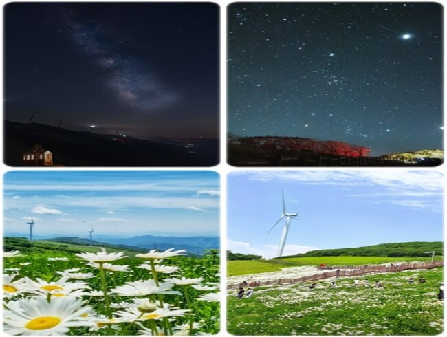 평창 가볼만한곳 청옥산 육백마지기