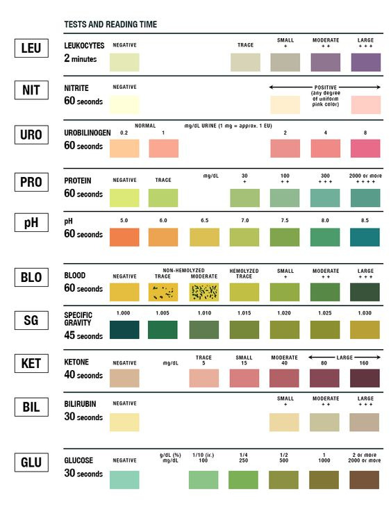  urinalysis 10 