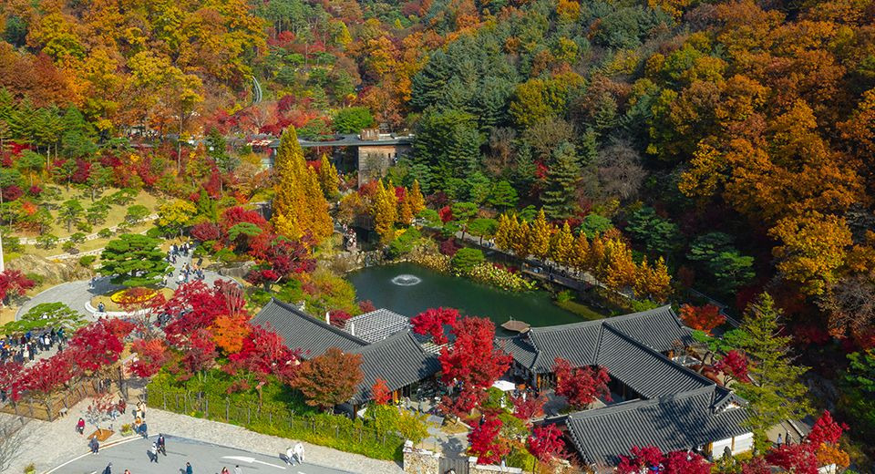 화담숲 예약 후기 재방문 의사 ⭕ 3구간 취소표 예매 꿀팁