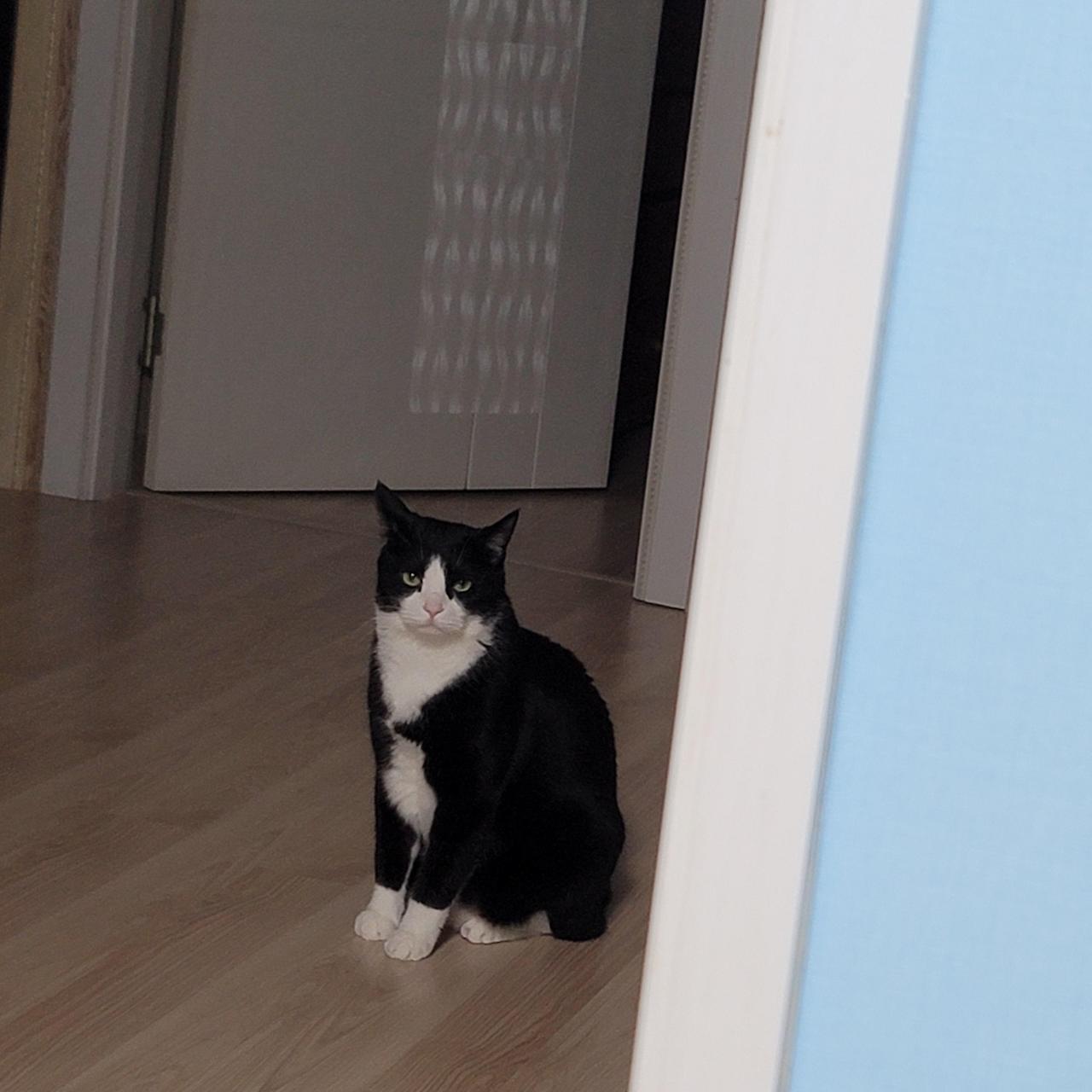 ?scode=mtistory2&fname=https%3A%2F%2Fblo