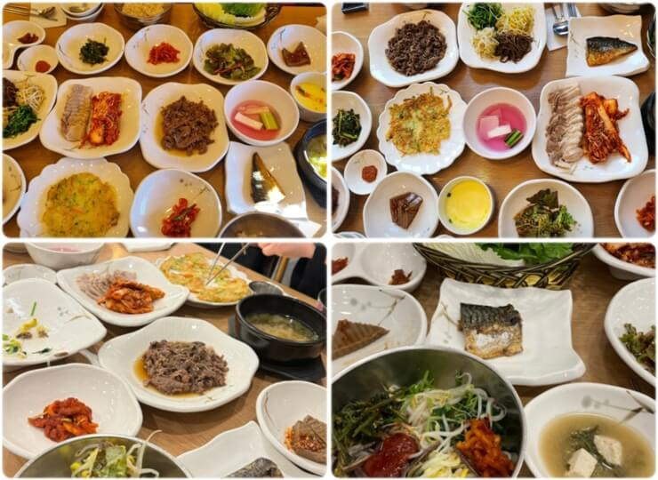 순천-맛집-벽오동