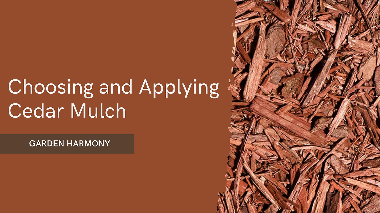 Pros and Cons of Cedar Mulch A Comprehensive Guide for Gardeners