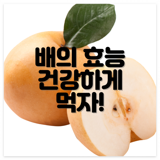 과일 배 효능과 부작용? 알고 먹자!
