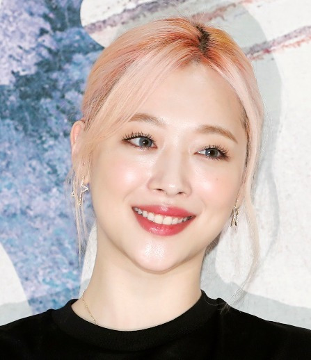설리 자살 이유 및 과거 악플 재조명