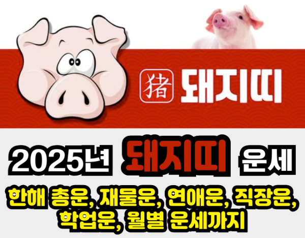 2025년 운세 - 돼지띠