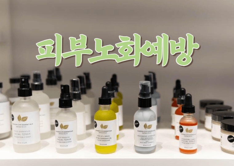 피부 노화를 예방하는 방법 1 피부노화예방법