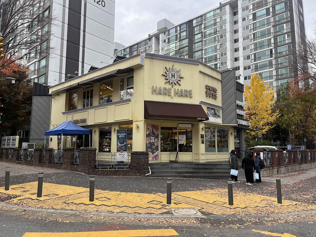 대전 빵집 투어 2곳 하레하레, 정인구팥빵 무계획 투어 소개