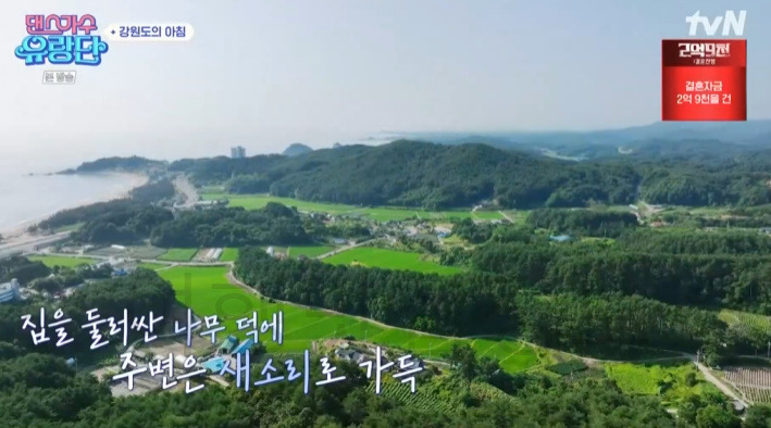 댄스가수 유랑단 뜻밖의 대환장 합숙, 한옥 숙소 촬영지 어디? 8 ywAAAAAAQABAAACAUwAOw==
