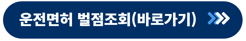 운전면허 처분벌점 및 면허벌점 조회 4가지 방법
