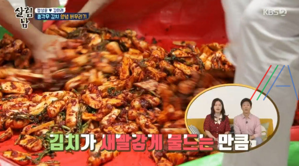 살림남 마약 김치 양념장, 총각무 김치 & 대파 김치 담그기 만들기 만드는 법 레시피, 정성윤 임성근 김장 김치 담그는법 만들기 레시피 - 2시간 김장김치 + 비법 양념장 27 ywAAAAAAQABAAACAUwAOw==