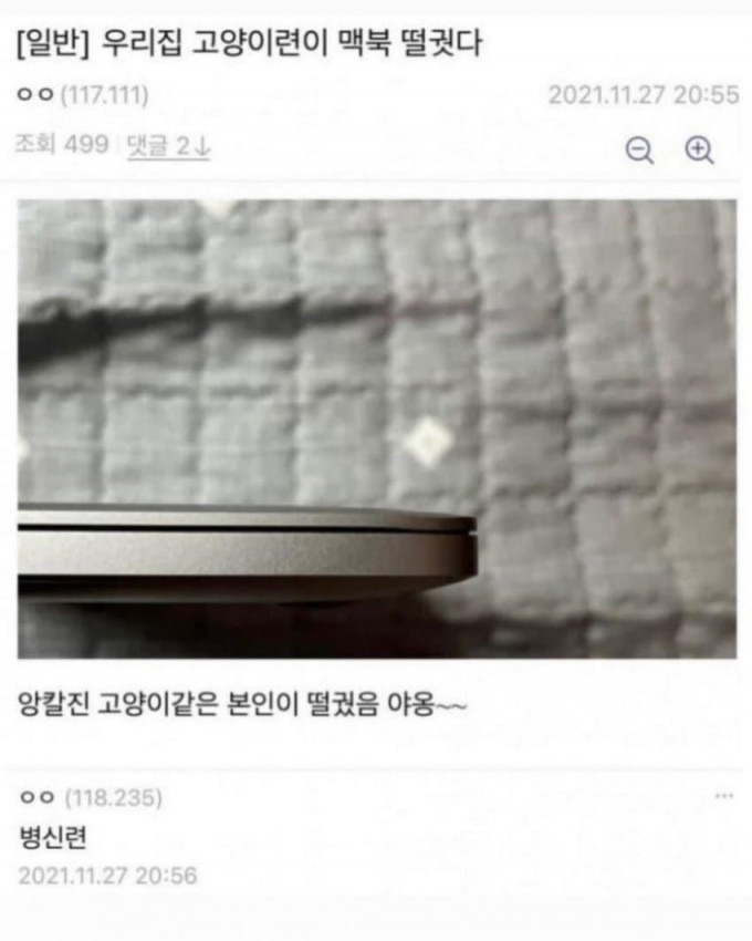 ?scode=mtistory2&fname=https%3A%2F%2Fblog.kakaocdn.net%2Fdn%2FIxBlb%2FbtrHfSf6pqe%2FRvWhUURsS6Olk4jJLuF14K%2Fimg.jpg