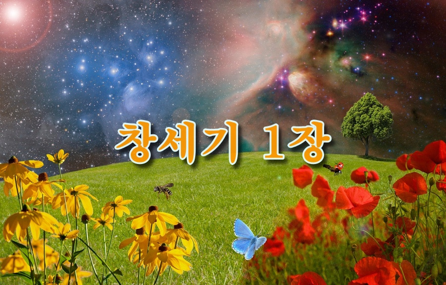 성서의 세계 :: 창세기 1장 강해