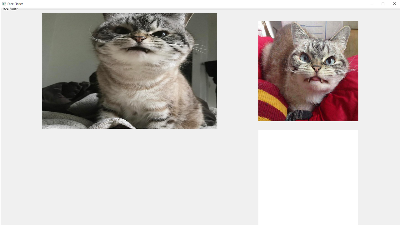 [Python] Pyqt5 QLabel Clickable 설정하기