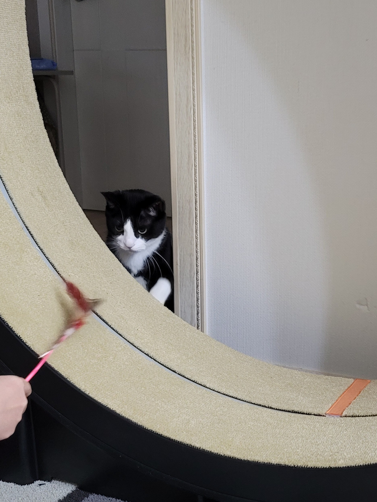 ?scode=mtistory2&fname=https%3A%2F%2Fblo