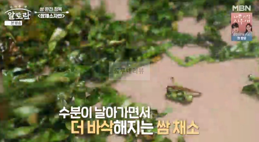 알토란 쌈페스토, 쌈채소자반, 봉달쌈절임 만들기 레시피 - 쌈 완전 정복 이상민 12 ywAAAAAAQABAAACAUwAOw==