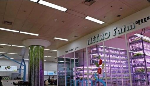 수직농장 '버티컬 팜'(Vertical Farm)이란.. 5 ywAAAAAAQABAAACAUwAOw==