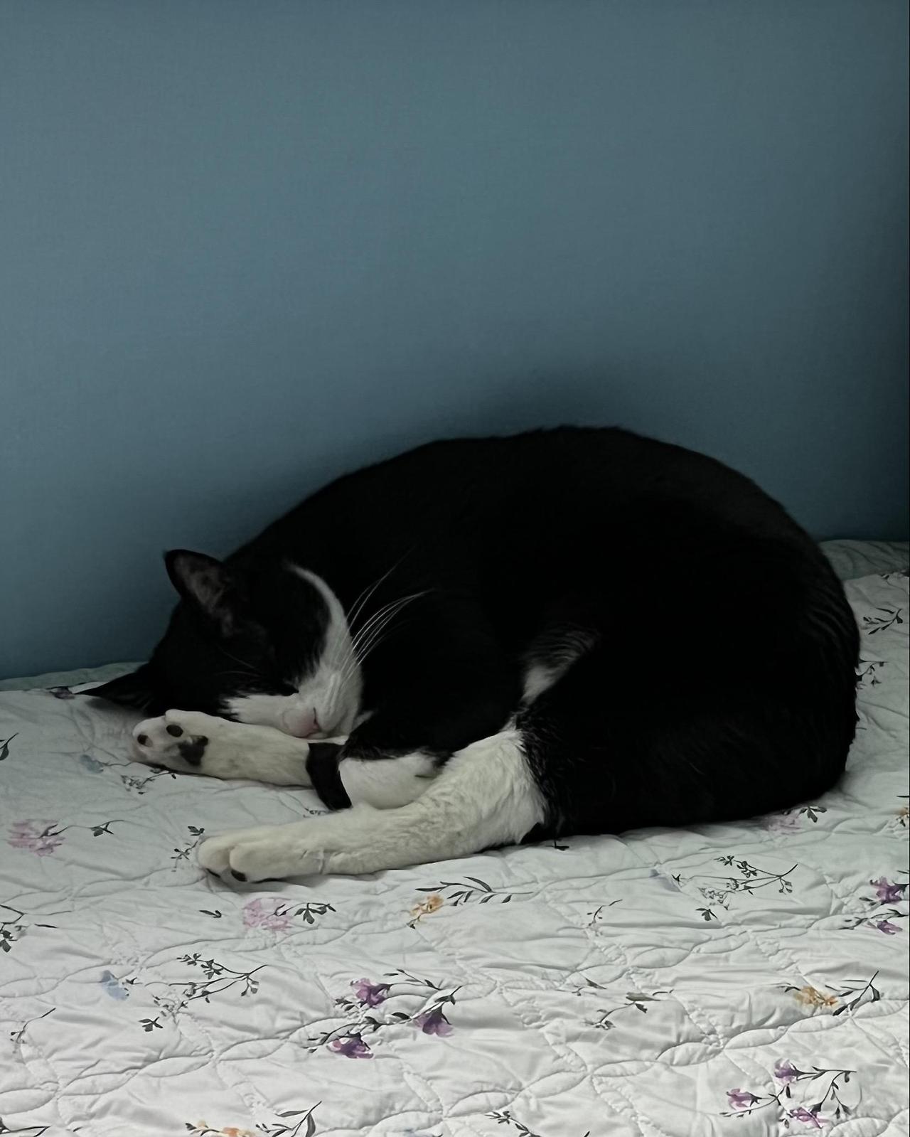 ?scode=mtistory2&fname=https%3A%2F%2Fblo