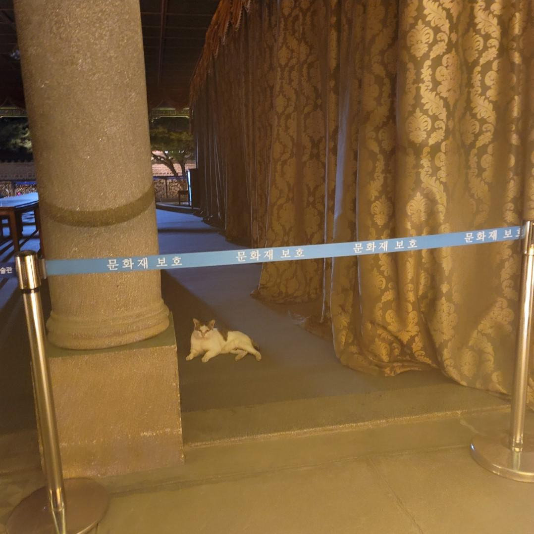 ?scode=mtistory2&fname=https%3A%2F%2Fblo