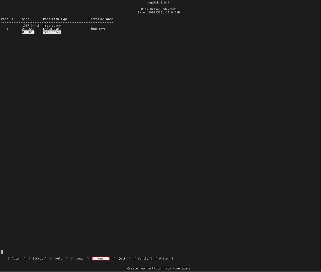 18 gdisk cgdisk
