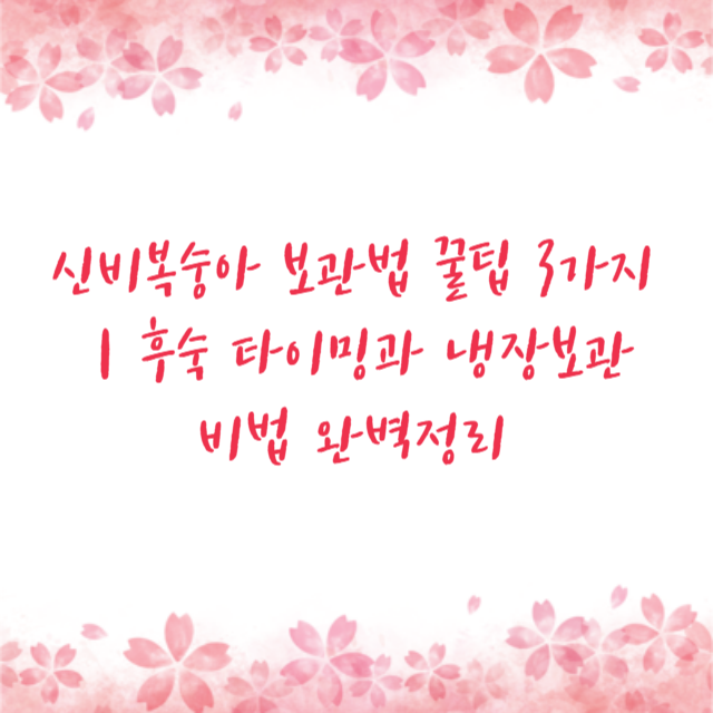 아로스 팝업